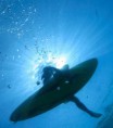 /album/les-photos-de-surf/surf-republique-dominicaine-001-1-jpg/
